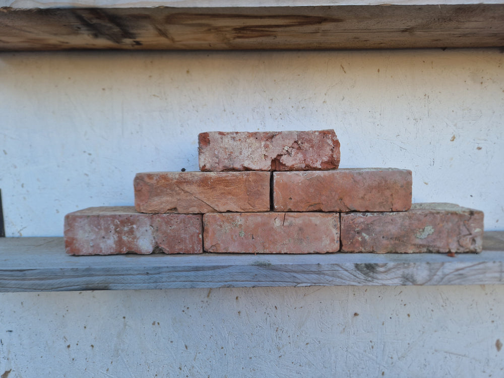 Wire Cut Bricks