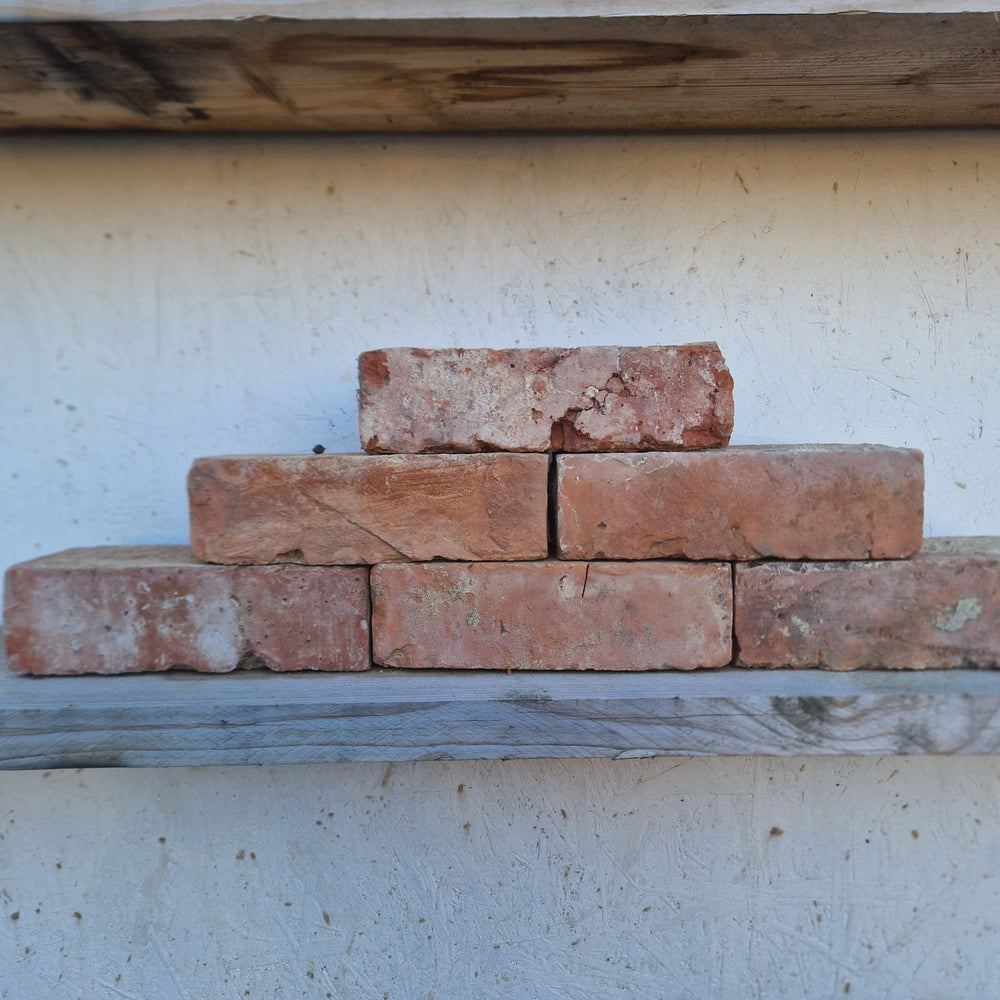 Wire Cut Bricks