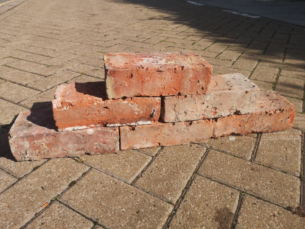 Wire Cut Bricks