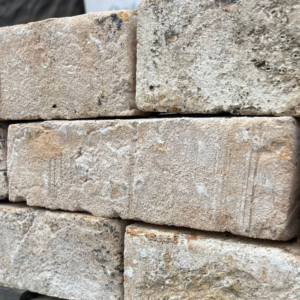 Vandersanden Sexton Fiesta