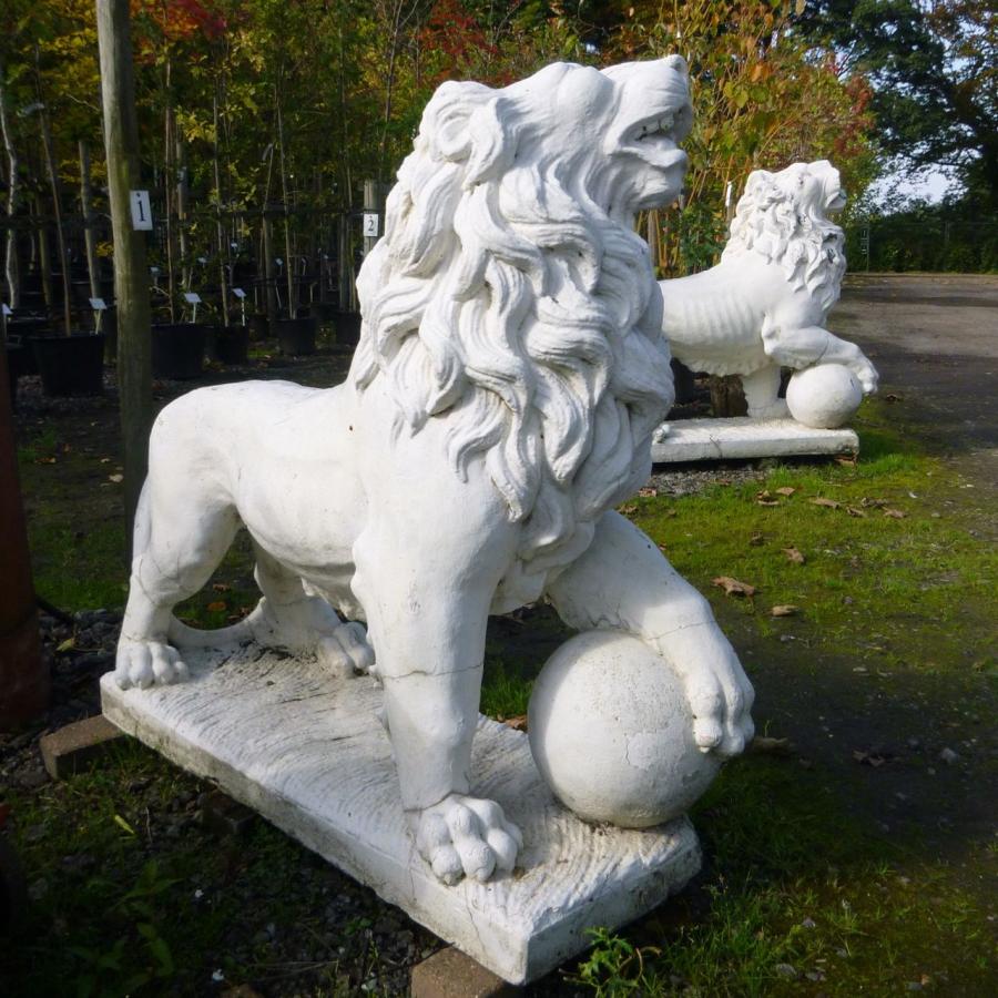 Pair of Lions